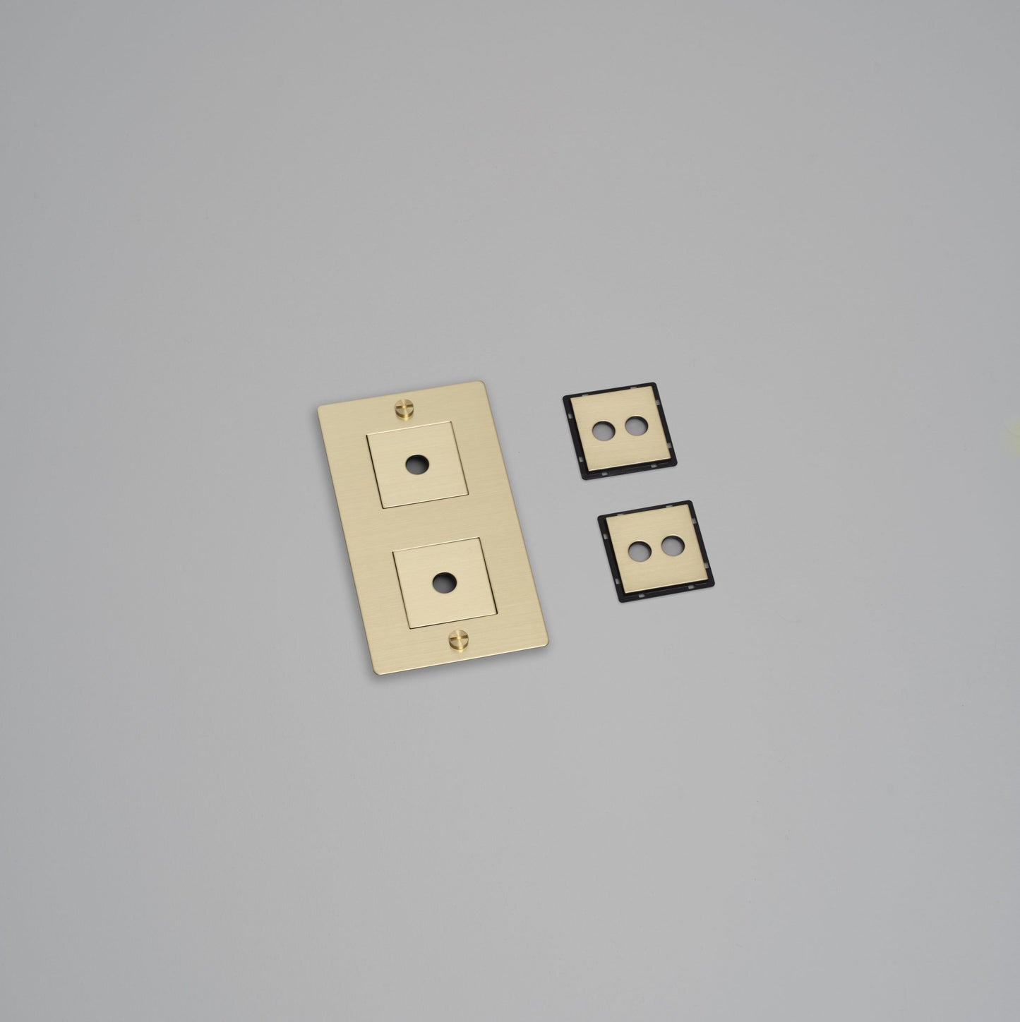 2G WALL PLATE / VERTICAL / WITH INFILLS / BRASS
