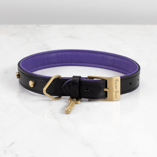 HUNDEHALSBAND / X-LARGE / SCHWARZ / LILA / MESSING