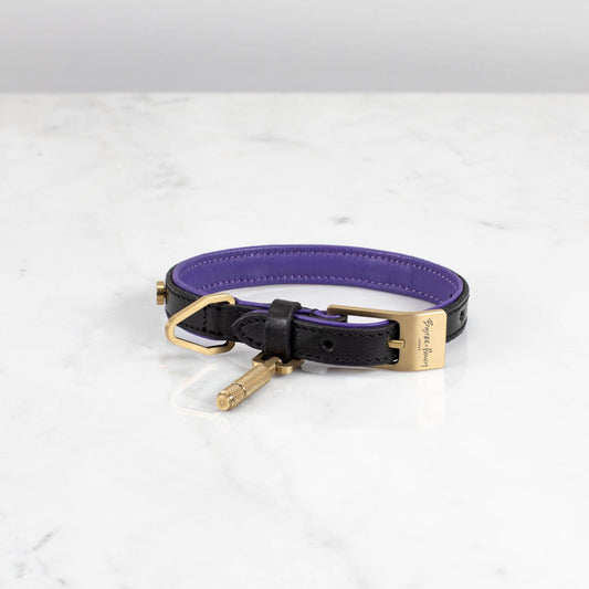 DOG COLLAR / SMALL / BLACK / PURPLE / BRASS