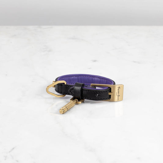 DOG COLLAR / X-SMALL / BLACK / PURPLE / BRASS