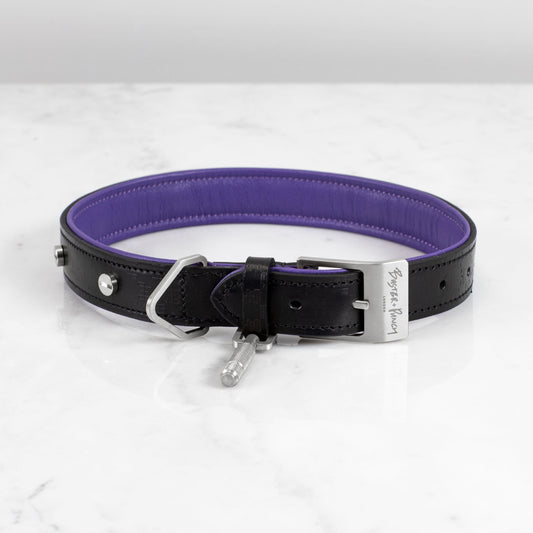 DOG COLLAR / LARGE / BLACK / PURPLE / STEEL