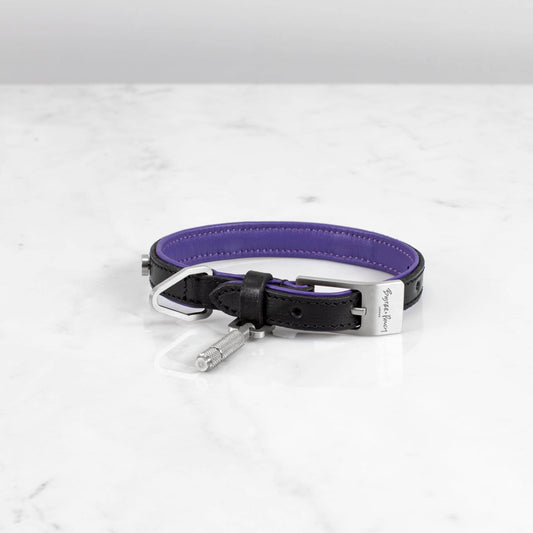 DOG COLLAR / SMALL / BLACK / PURPLE / STEEL